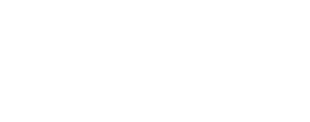 TRANSNETWORK Logo